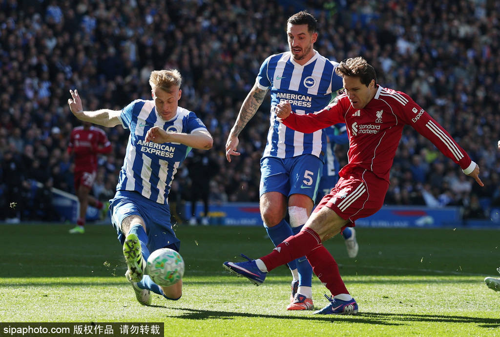 英超-埃基蒂克伤退维尔贝克双响 利物浦1-2布莱顿三轮不胜